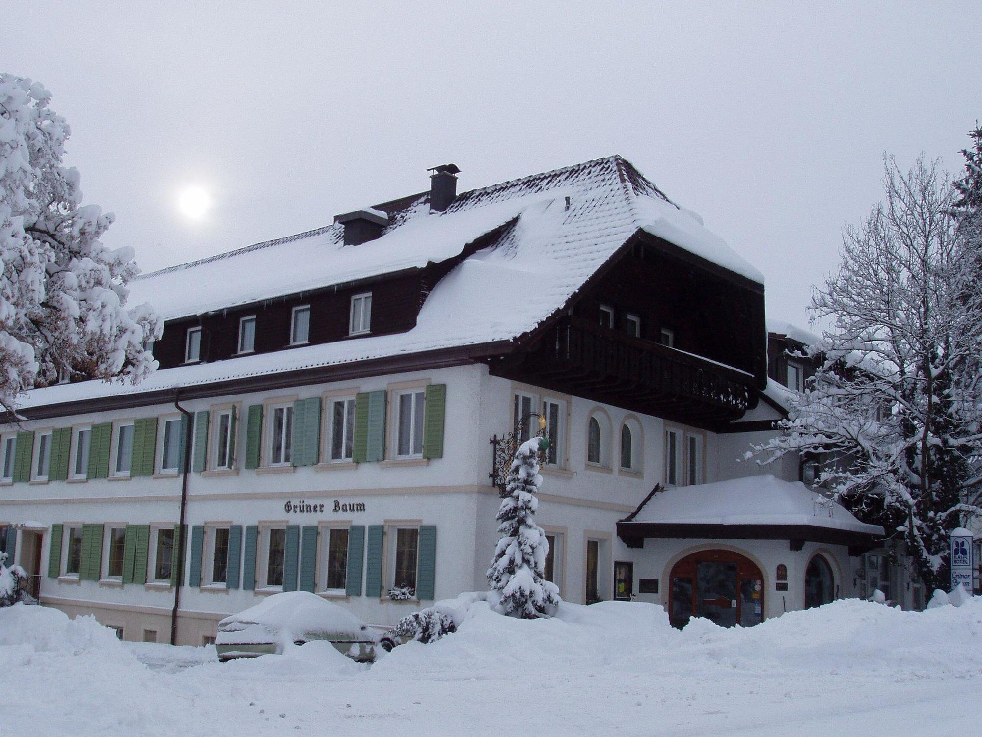 Flair Hotel Gruener Baum Donaueschingen Ngoại thất bức ảnh