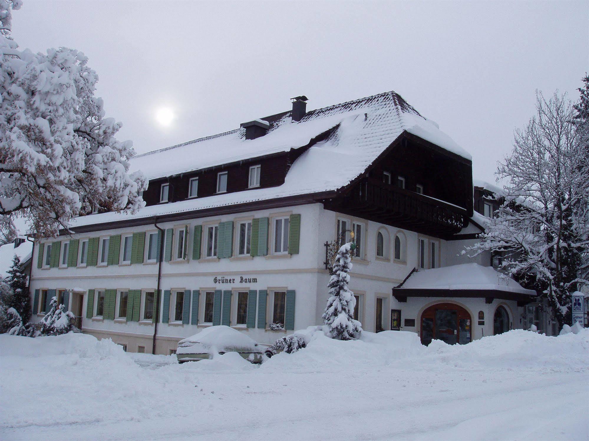 Flair Hotel Gruener Baum Donaueschingen Ngoại thất bức ảnh